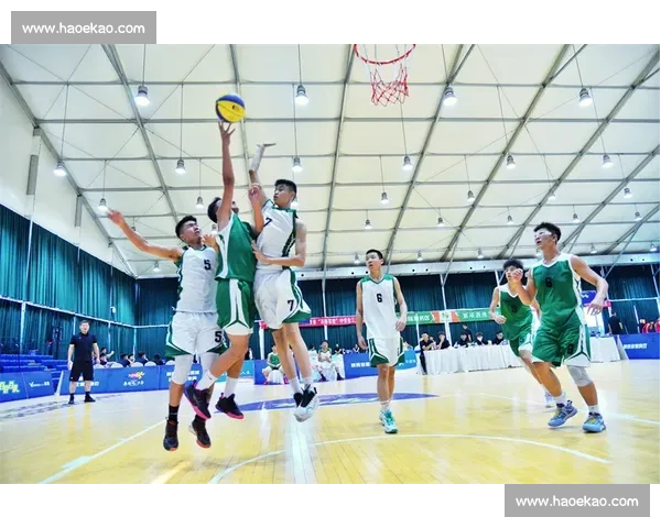 以三人篮球为核心推动城市体育文化创新发展新路径研究与青少年参与